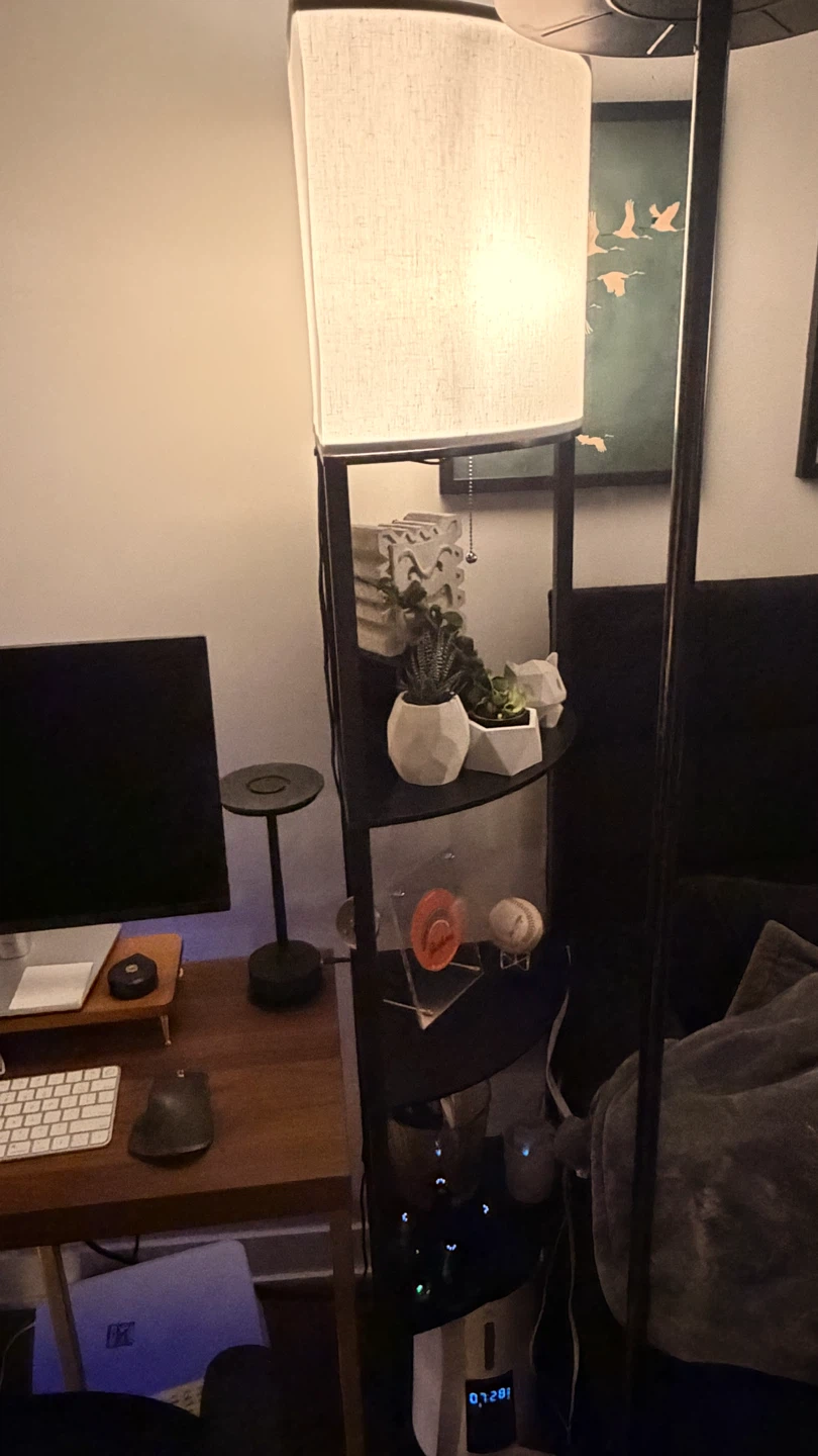2 floor lamps