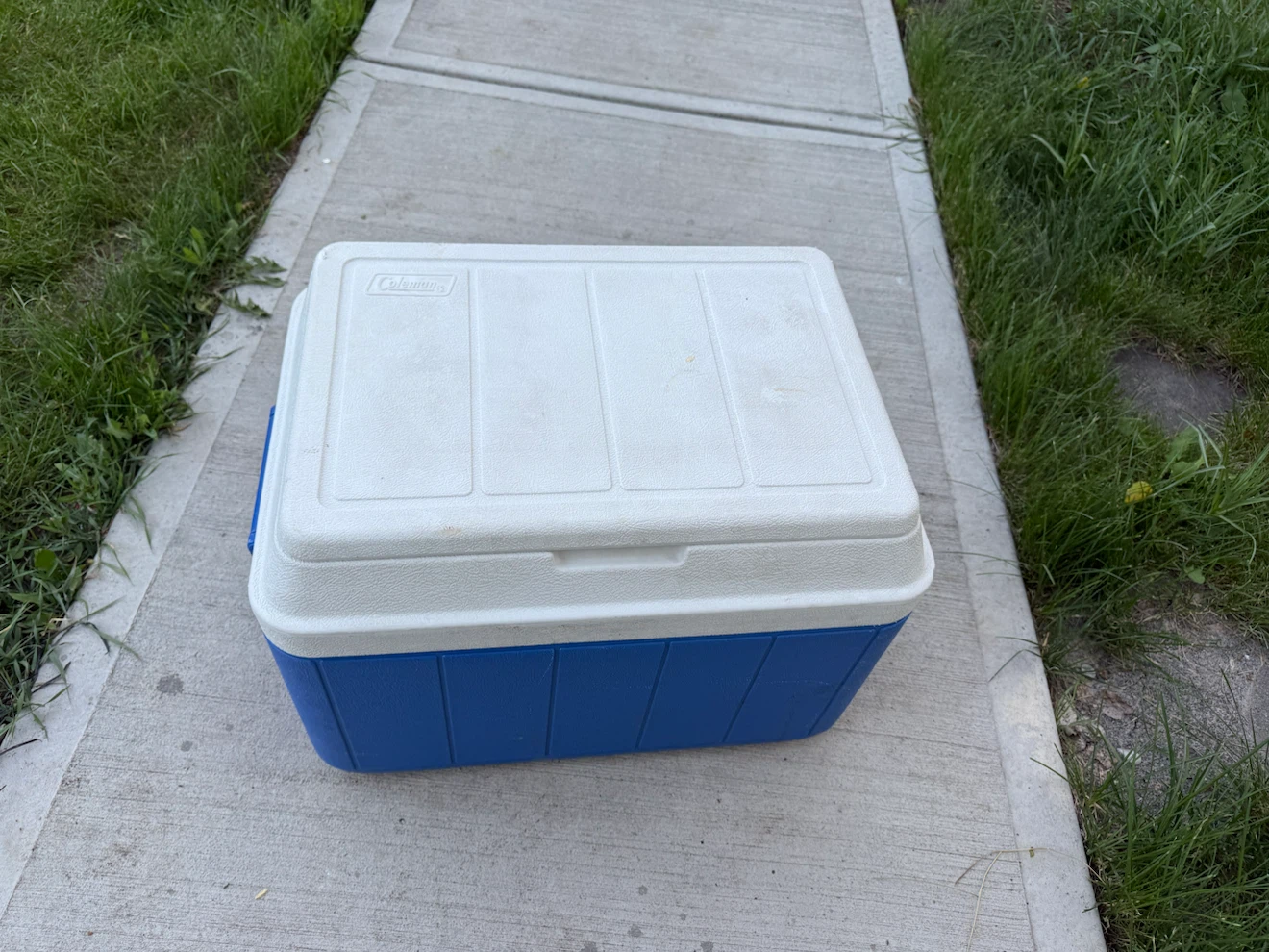 Coleman Cooler