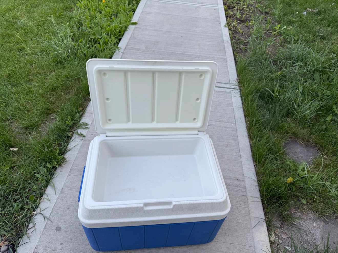 Coleman Cooler - photo 2