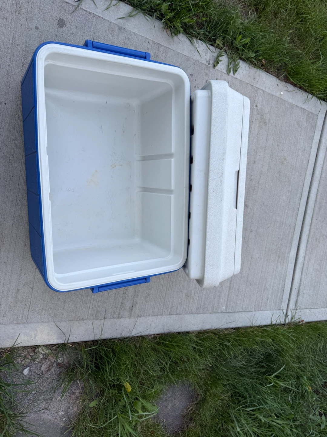 Coleman Cooler - photo 4