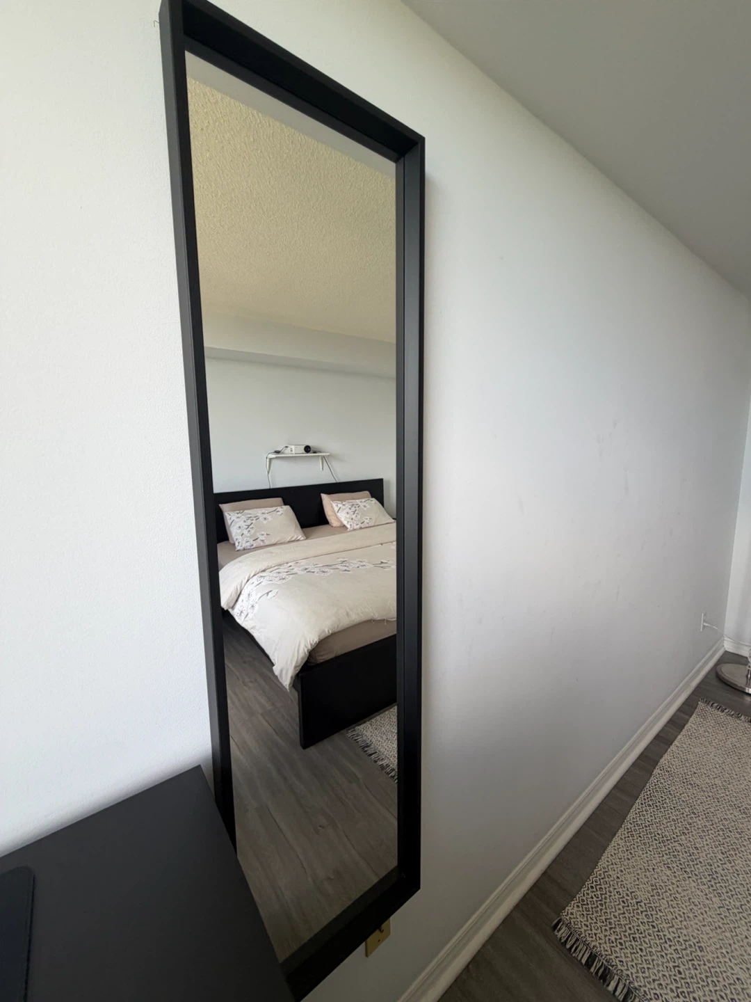 Tall Black Framed Mirror