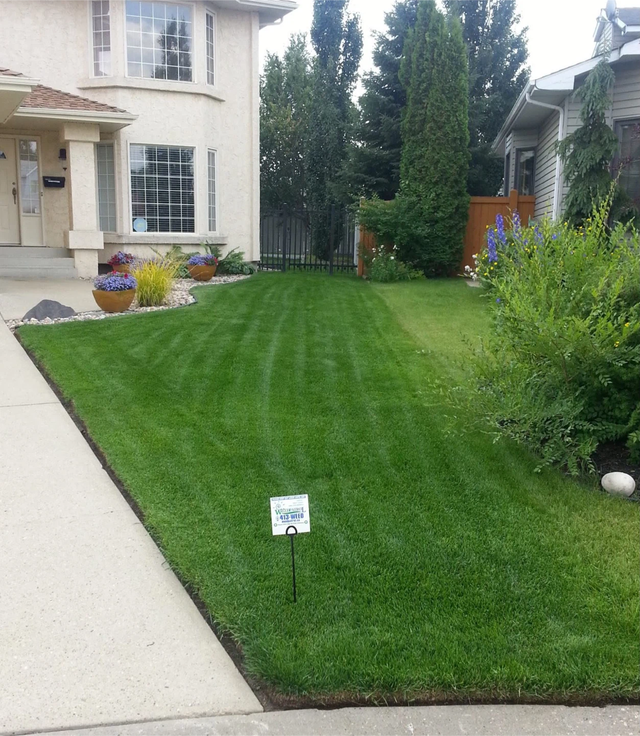 Lawn Mowing & Yard Care - photo 2