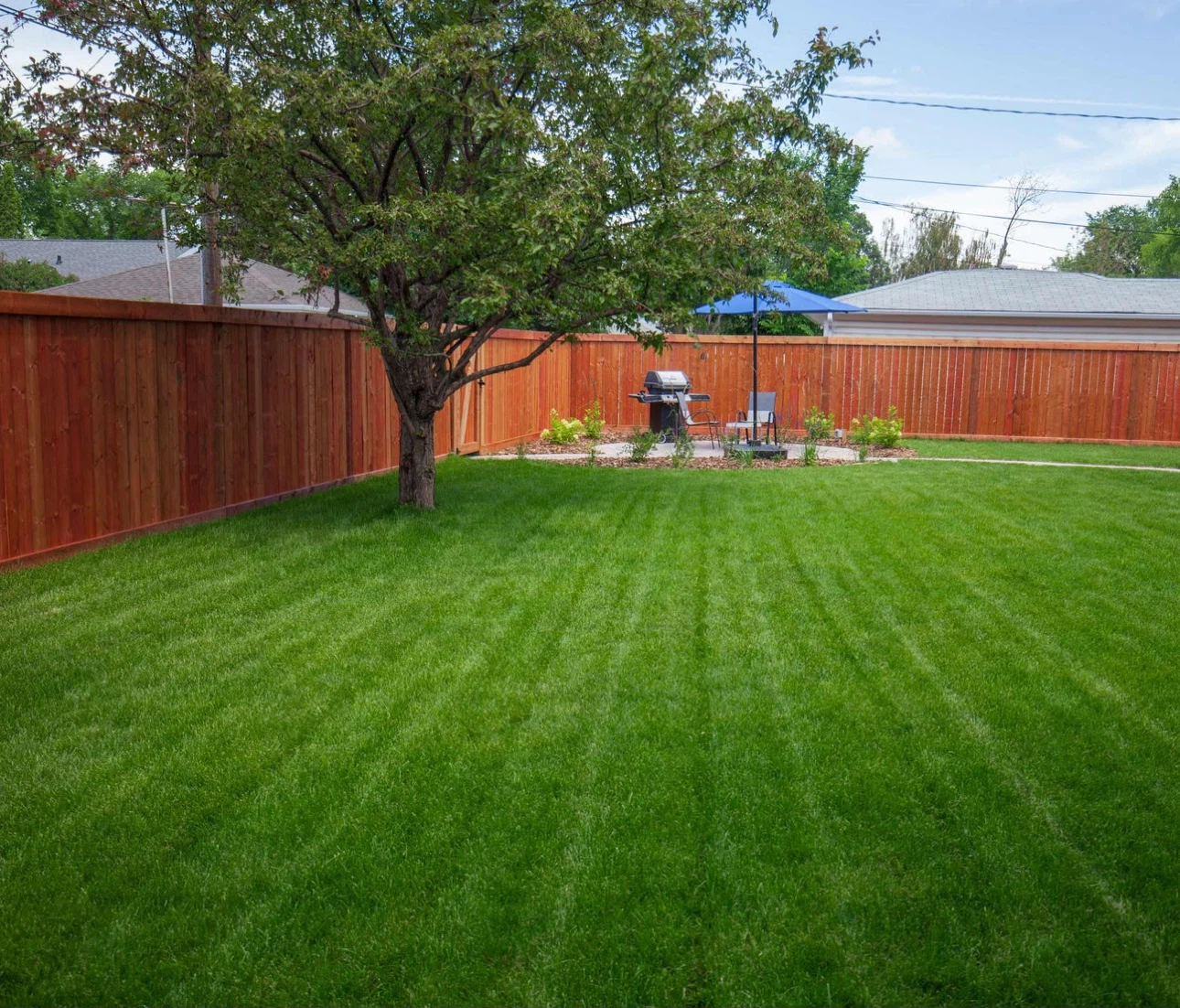 Lawn Mowing & Yard Care - photo 3