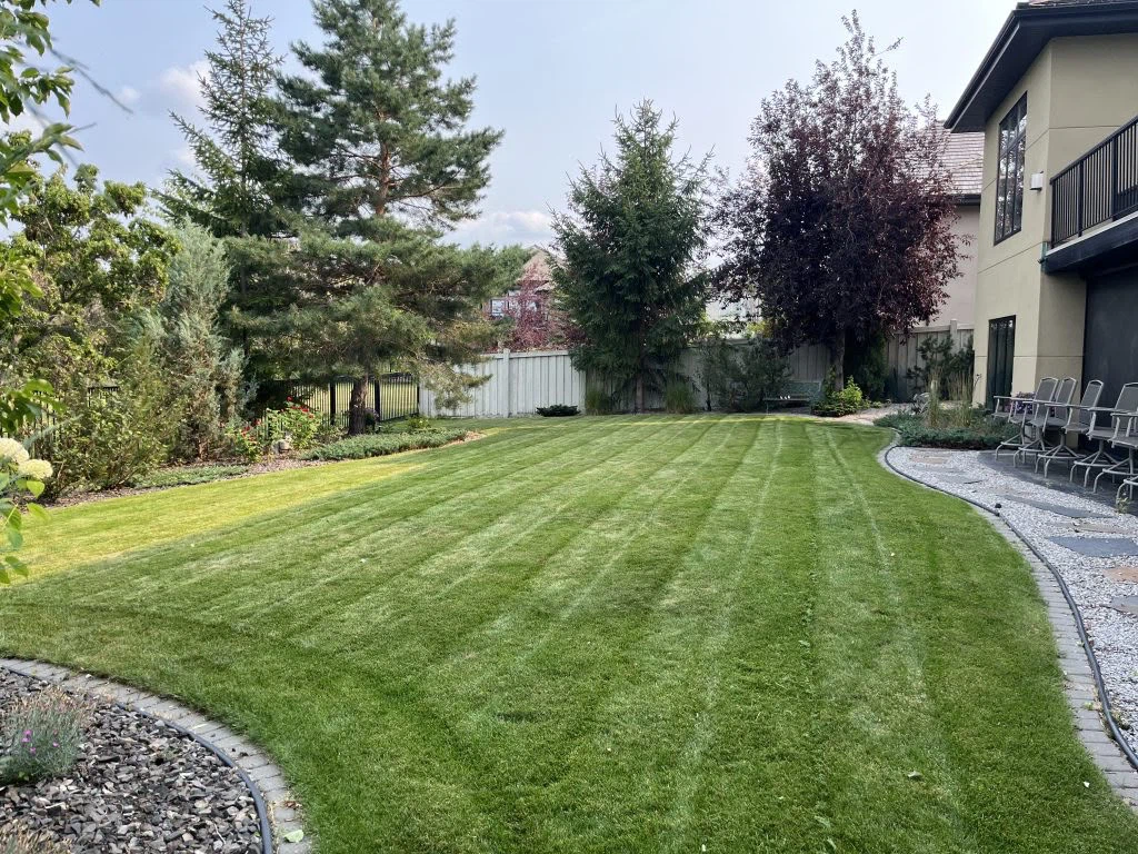 Lawn Mowing & Yard Care - photo 4