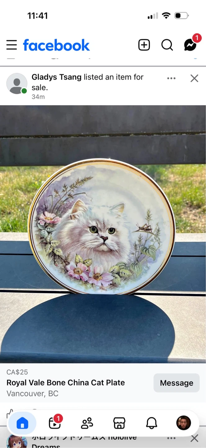 Royal Vale Bone China Cat Plate