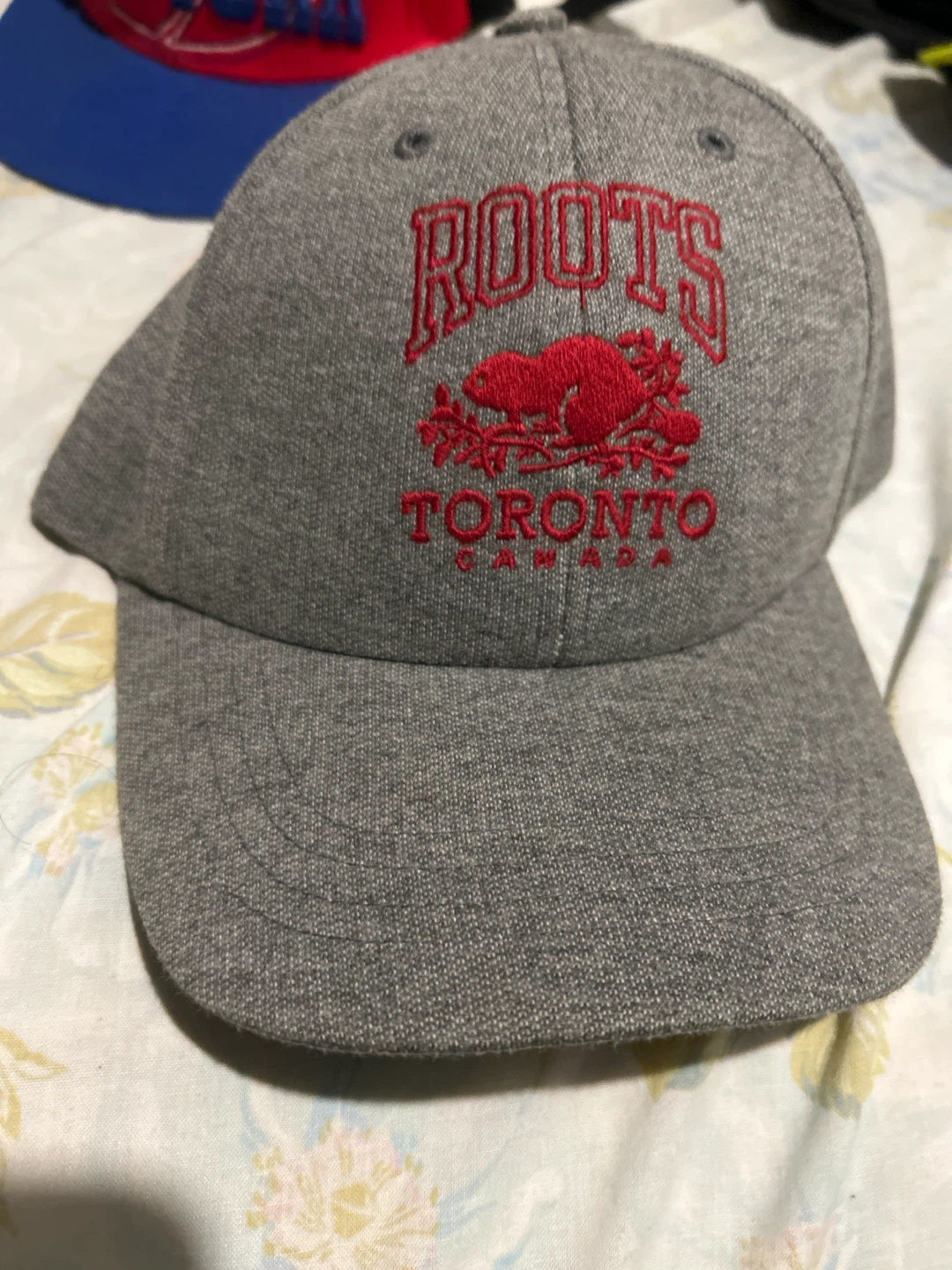 Roots Toronto Grey Baseball Cap