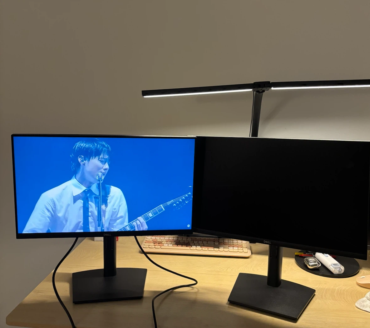 Dell Dual Monitor