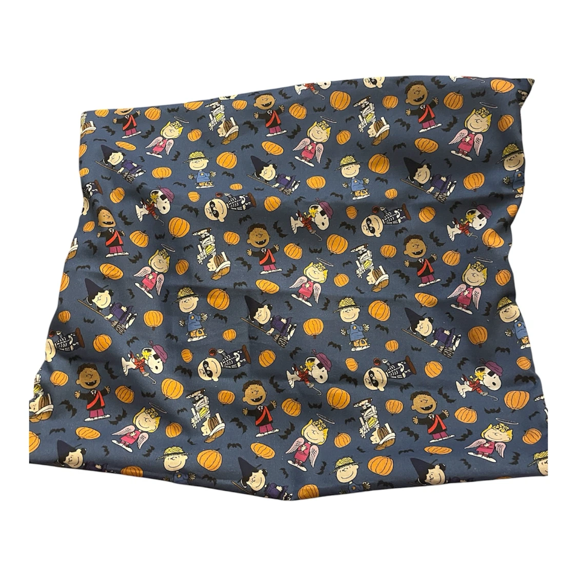 Peanuts Halloween Pillow Case