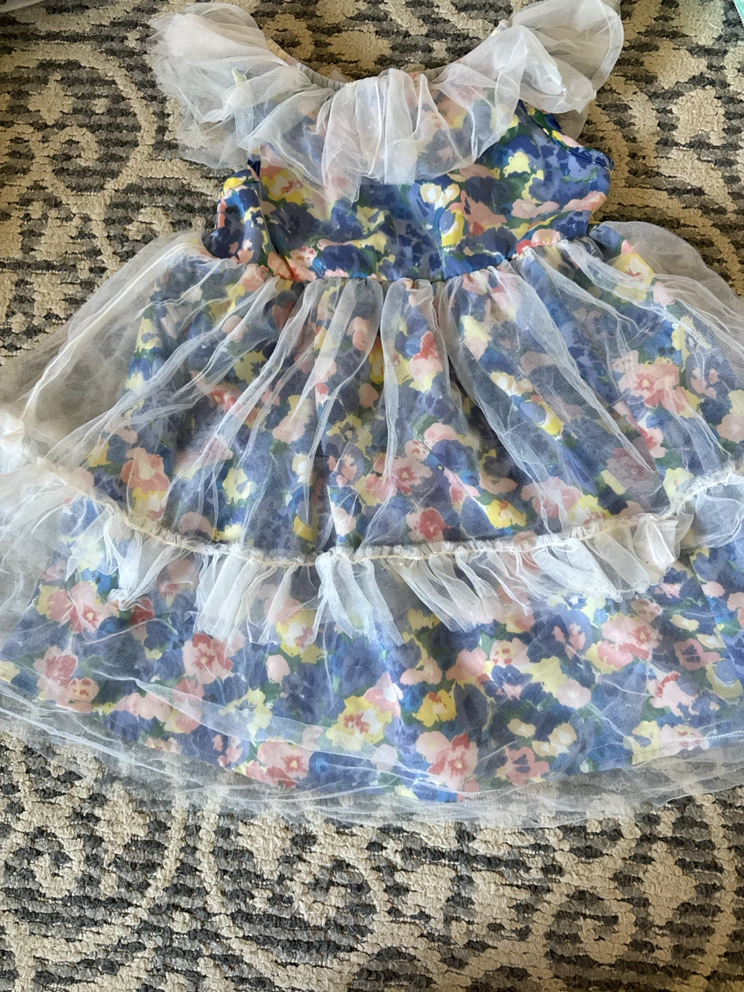 Girls Floral Tulle Dress Age 4