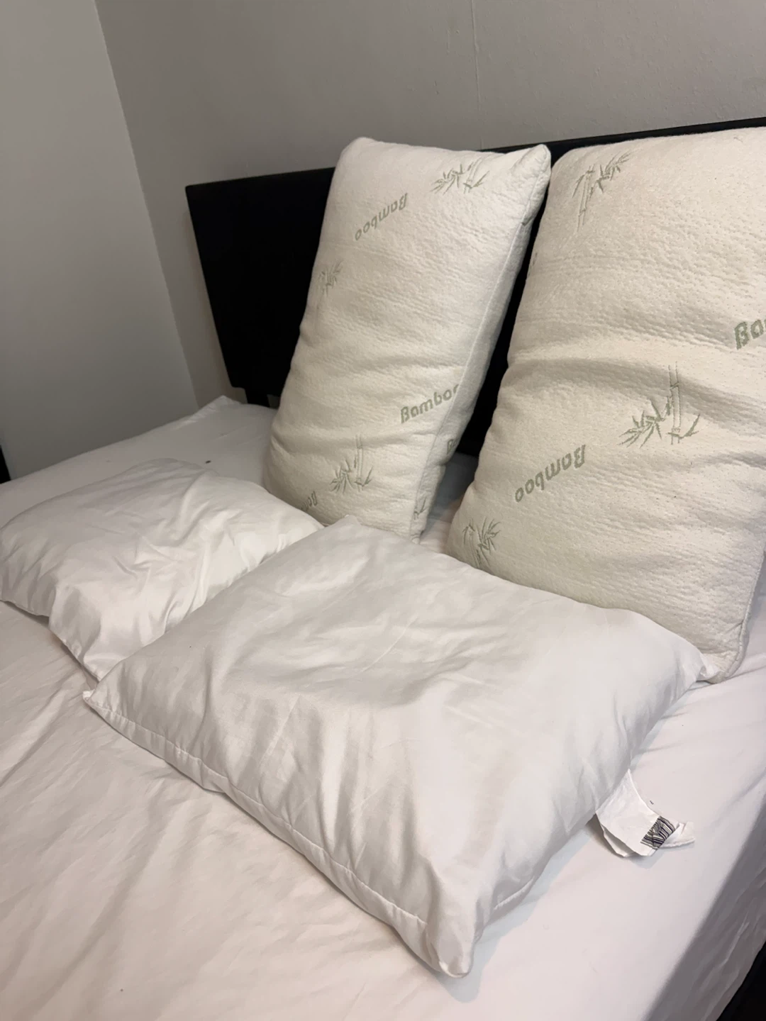 2 Bamboo Pillows