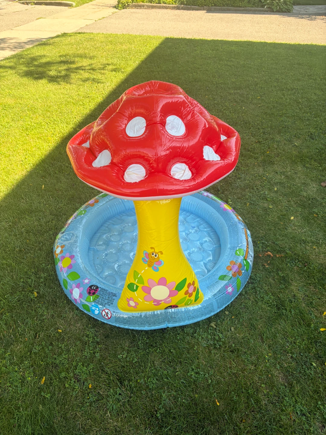 Intex Wet Set Collection Mushroom Baby Pool