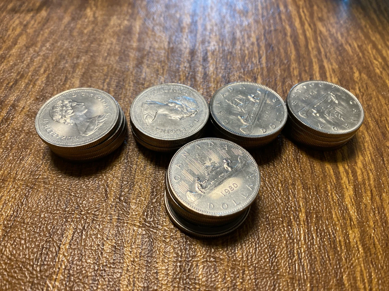 25 Assorted Canadian Dollar Coins