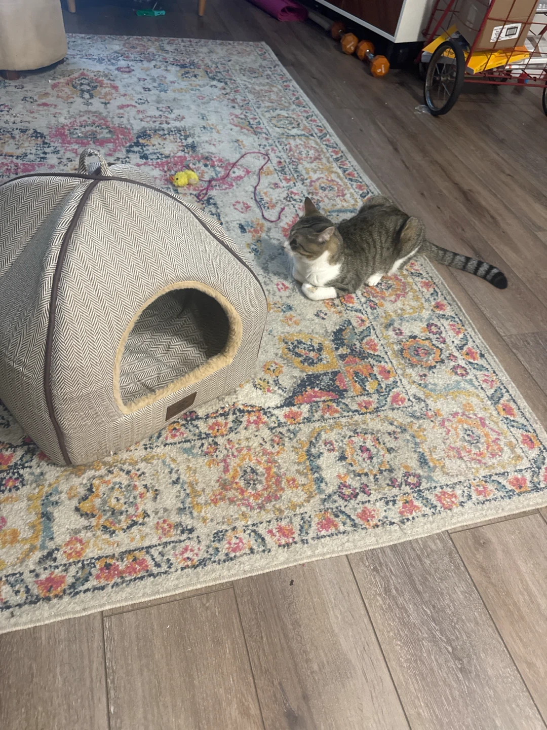 Cozy Pet Hideaway Bed