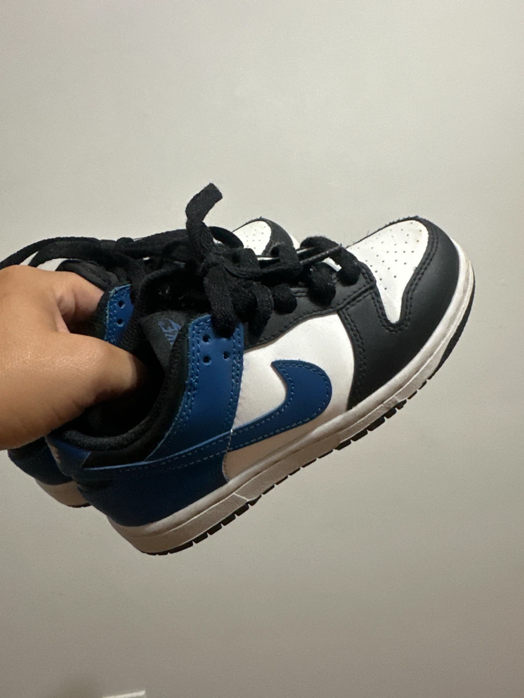 Nike Dunks Low Sneakers