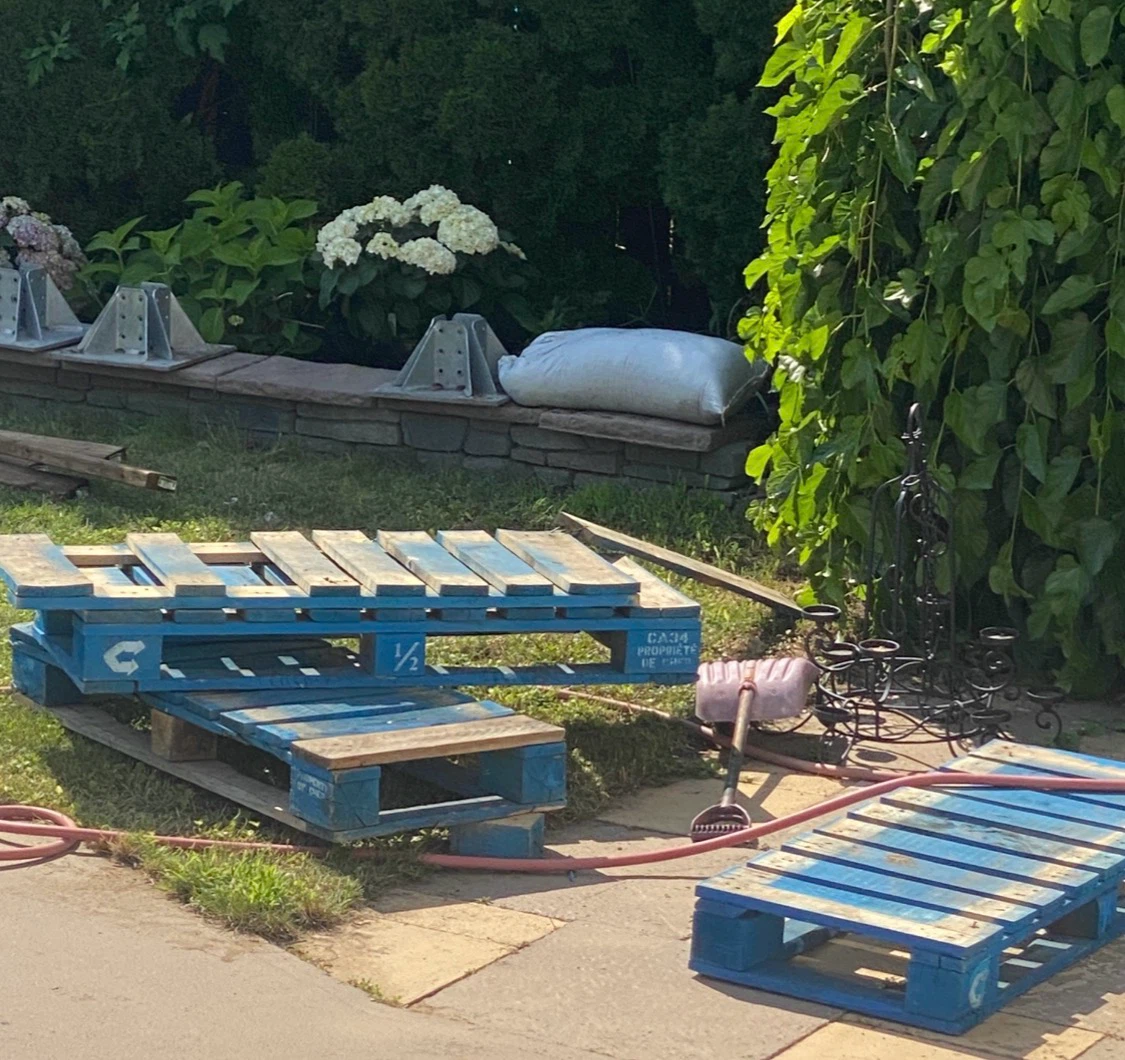 Free skids  queensway/dixie