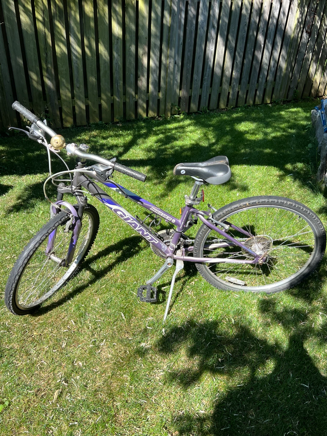 Girl’s / Woman’s Giant Boulder Mountain Bike
