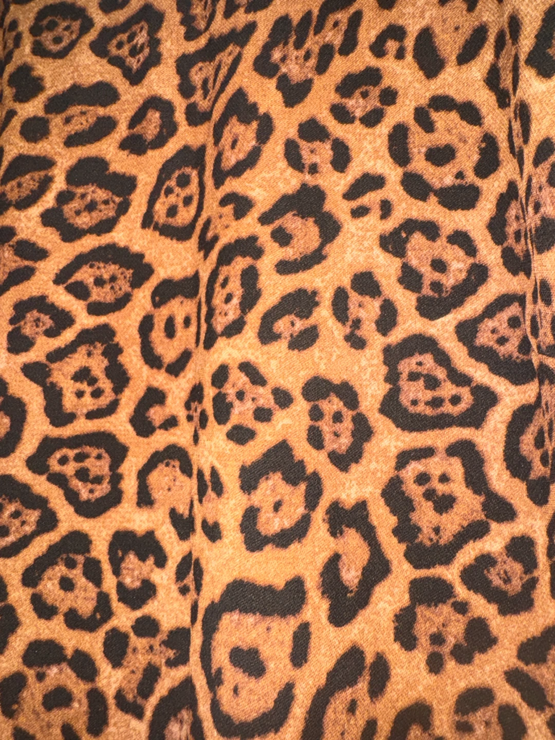 Leopard Print Long Sleeve Dress - photo 3