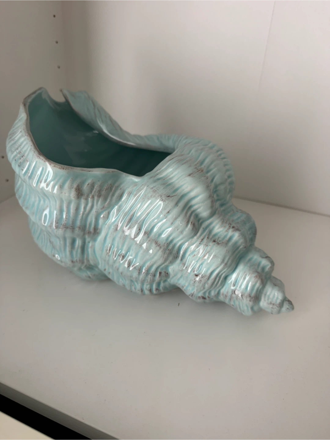 Decorative Seashell Bowl