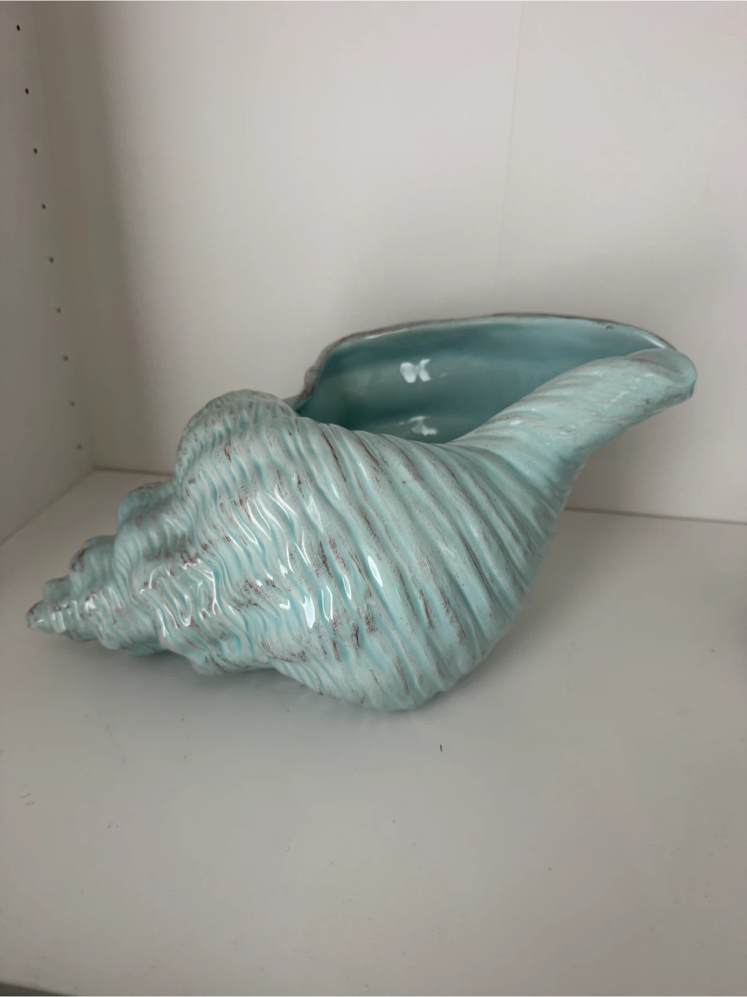 Decorative Seashell Bowl - photo 3