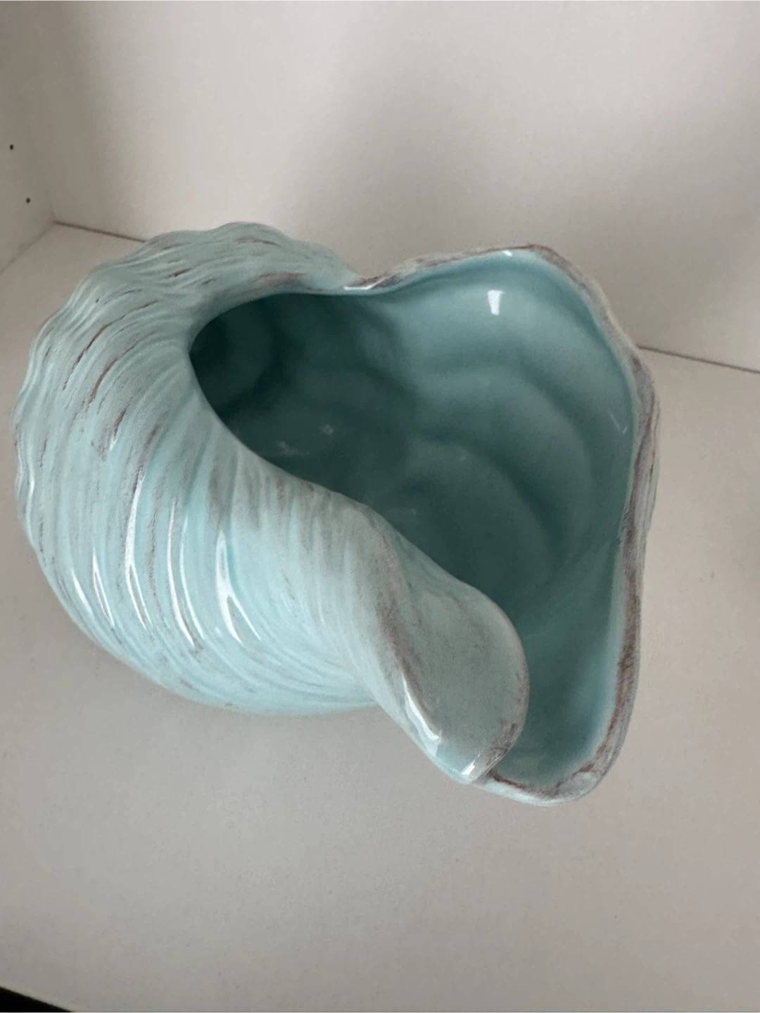 Decorative Seashell Bowl - photo 4