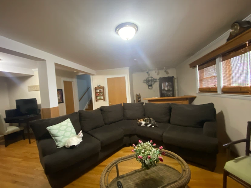 Dark Brown Sectional Sofa