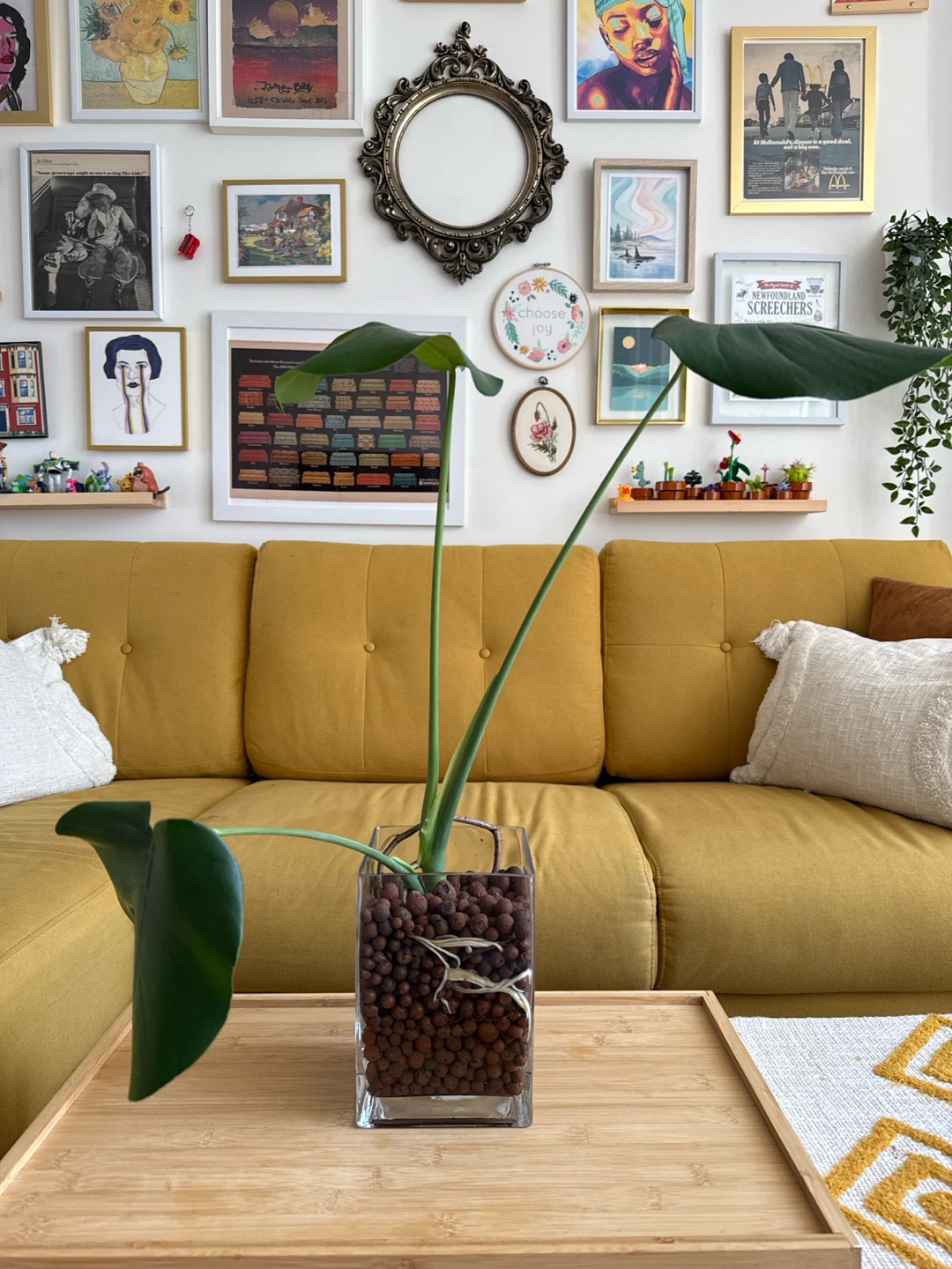 Monstera Plant in Glass Vase