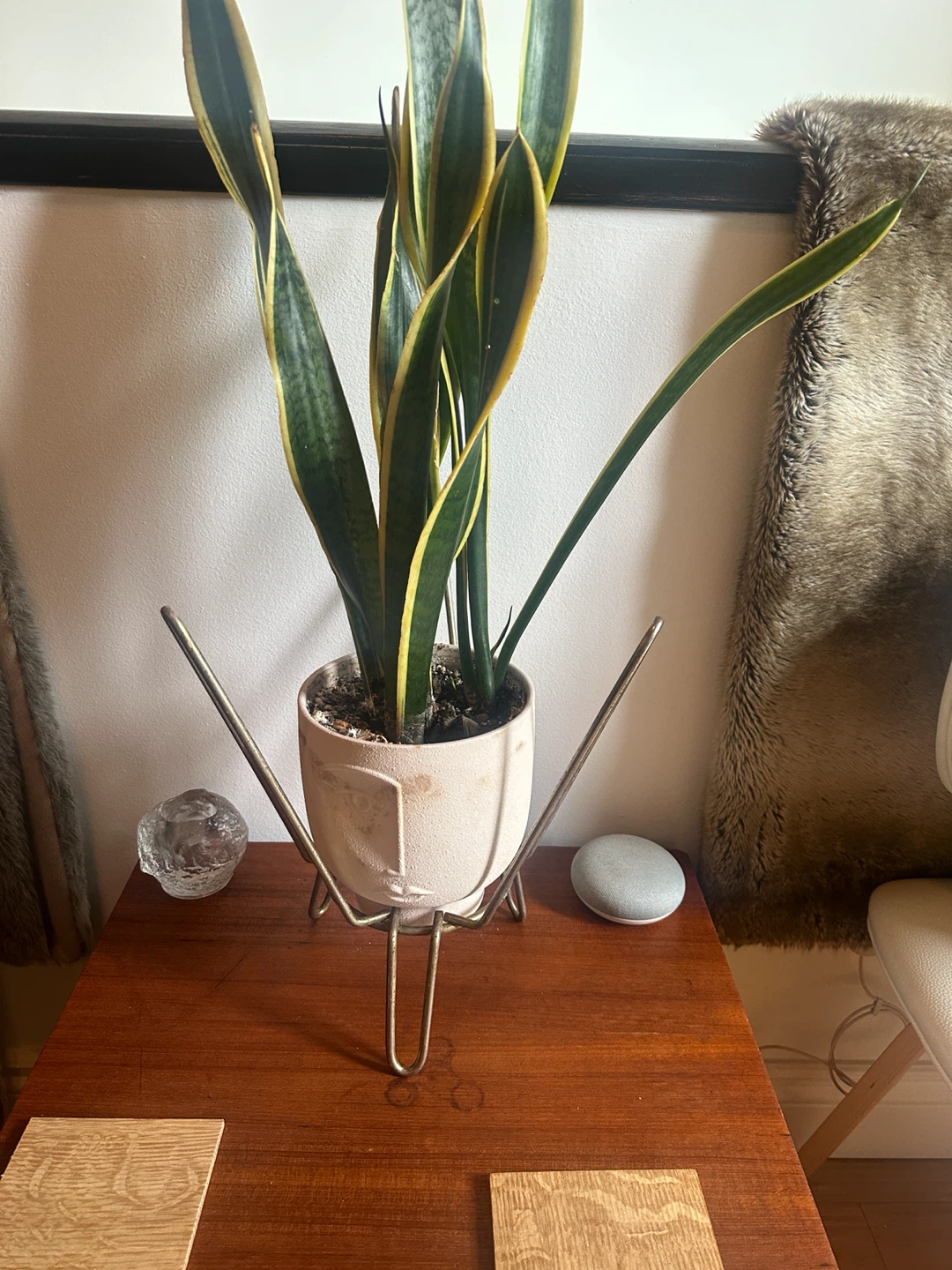 Vintage mcm atomic brass hair pin leg plant stand pot holder - photo 4