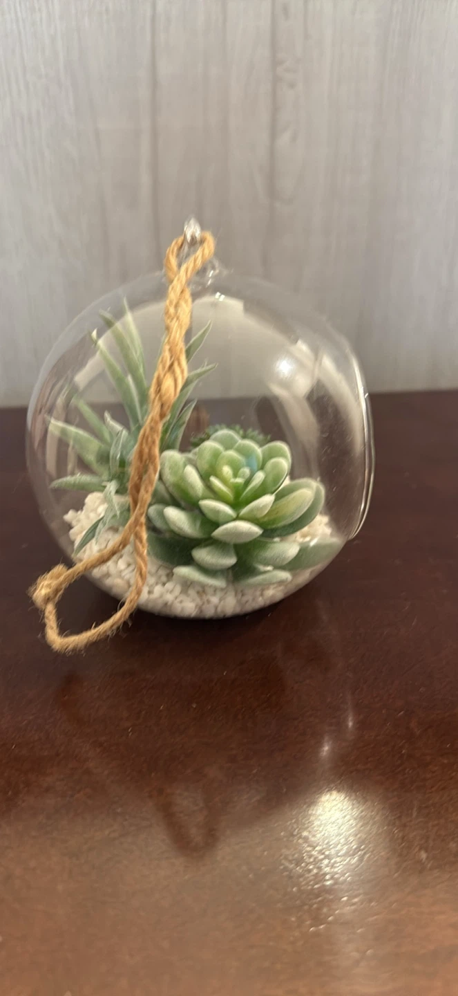 Hanging Glass Terrarium with Faux Succulents