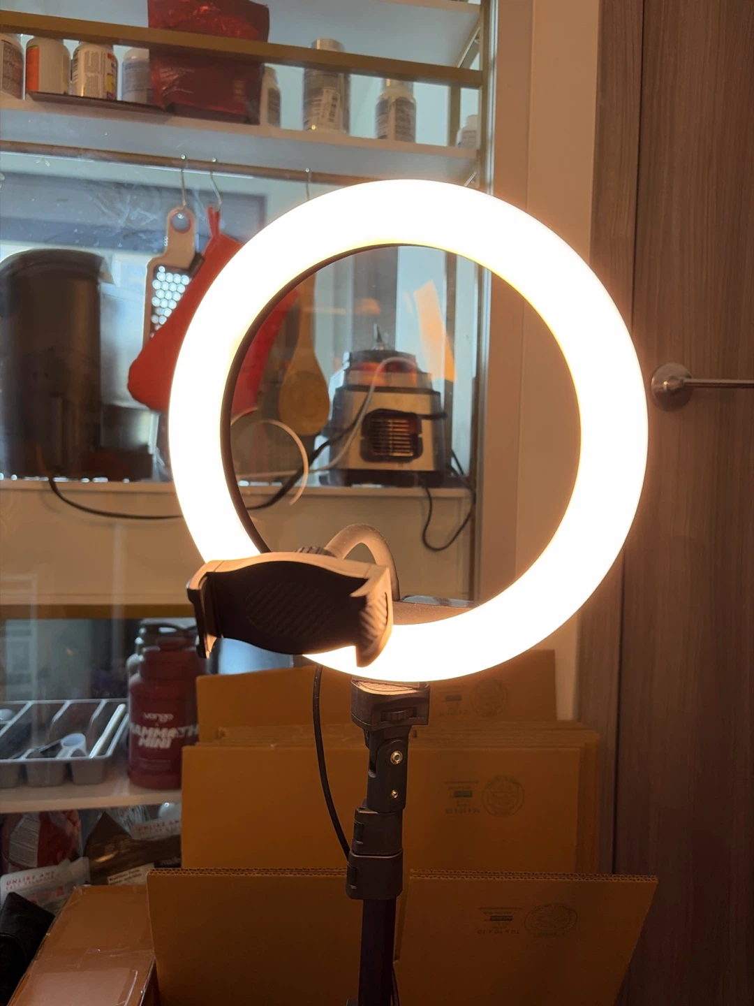 Ring Light with Tripod Stand