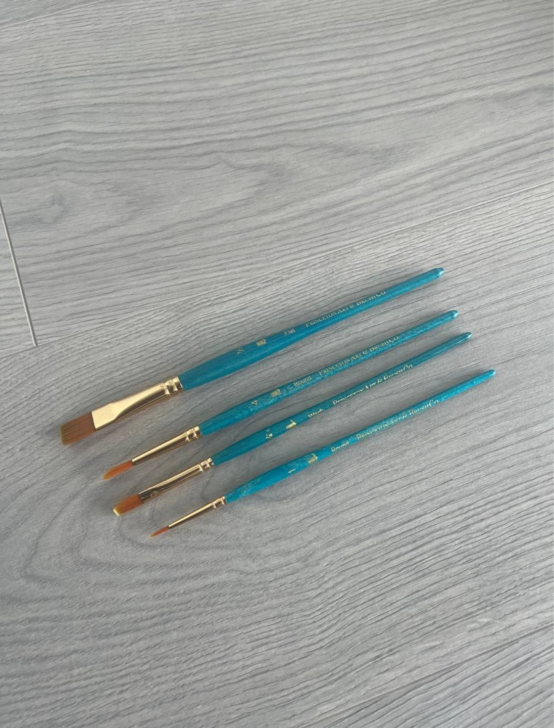 Princeton Art & Brush Co. Paintbrush Set (4) with Travel Case