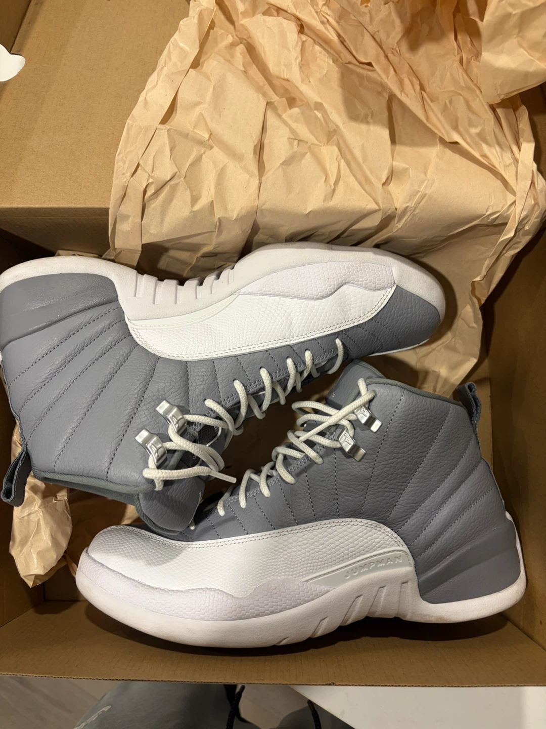 Air Jordan 12 (cool gray)