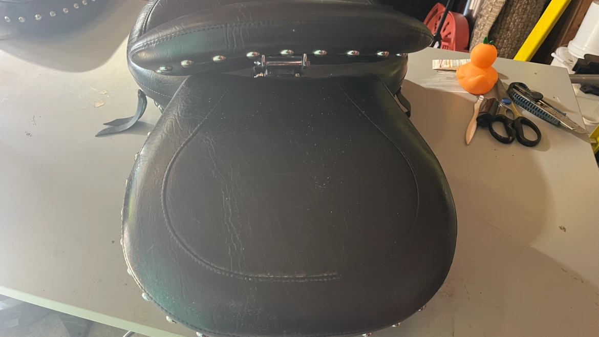 Mustang Motorcycle Seats