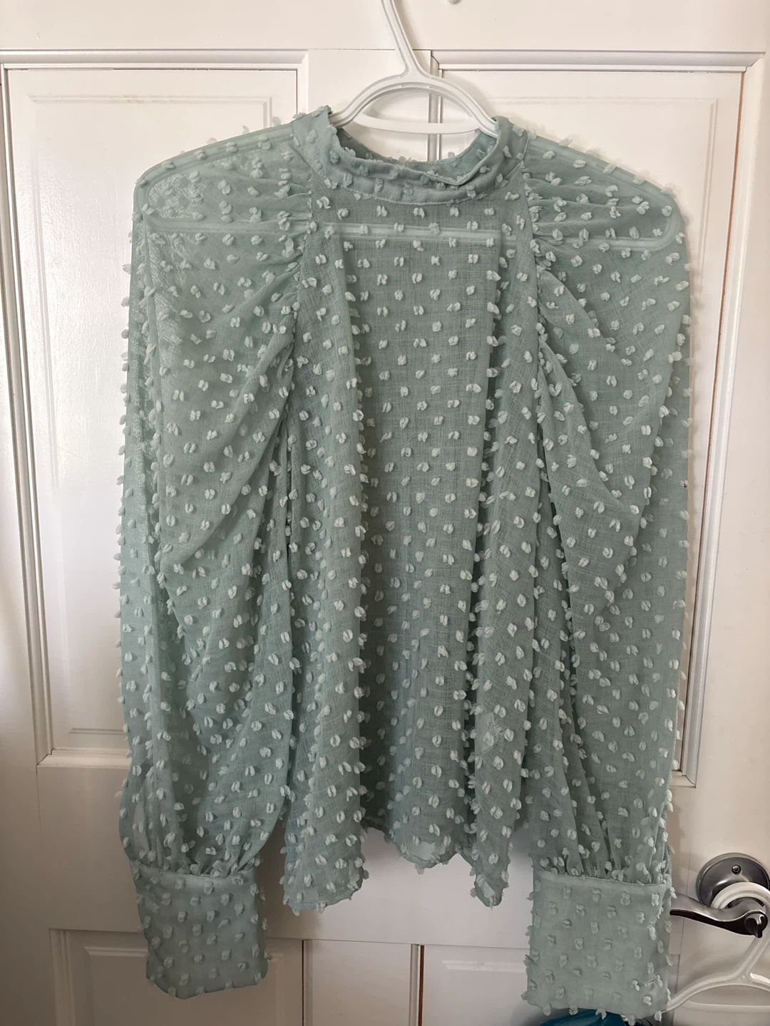 Sheer Puffed Sleeve Blouse