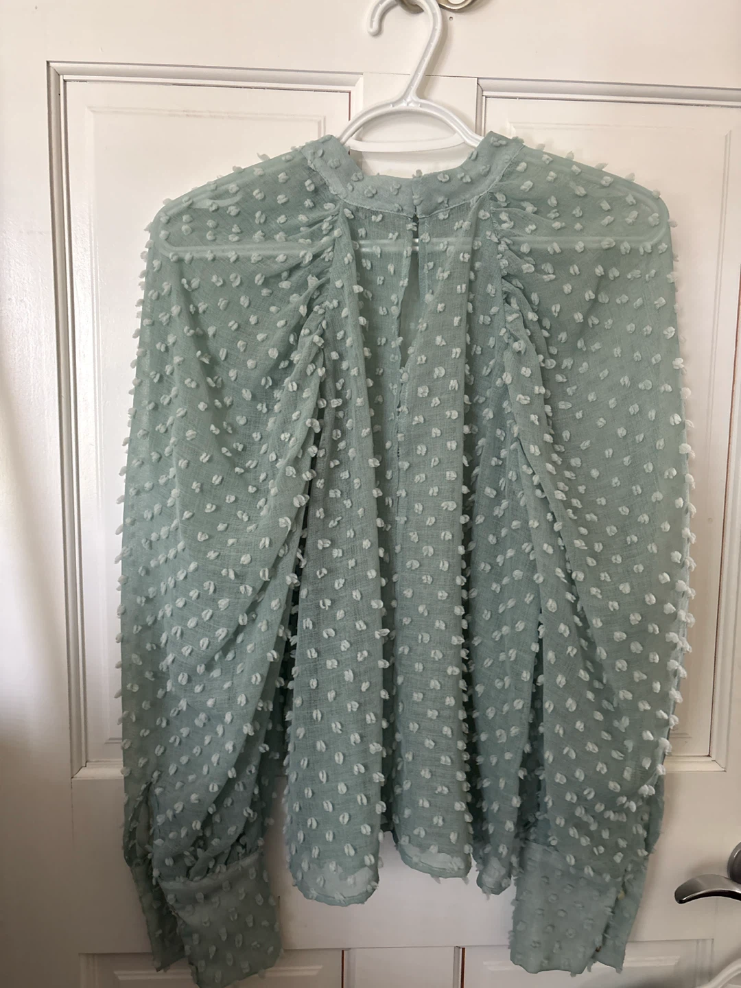 Sheer Puffed Sleeve Blouse - photo 2