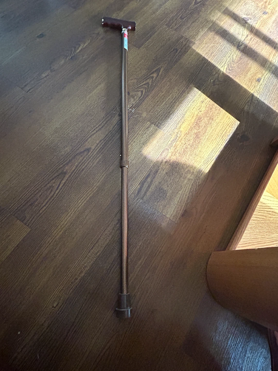 Life Walking Cane