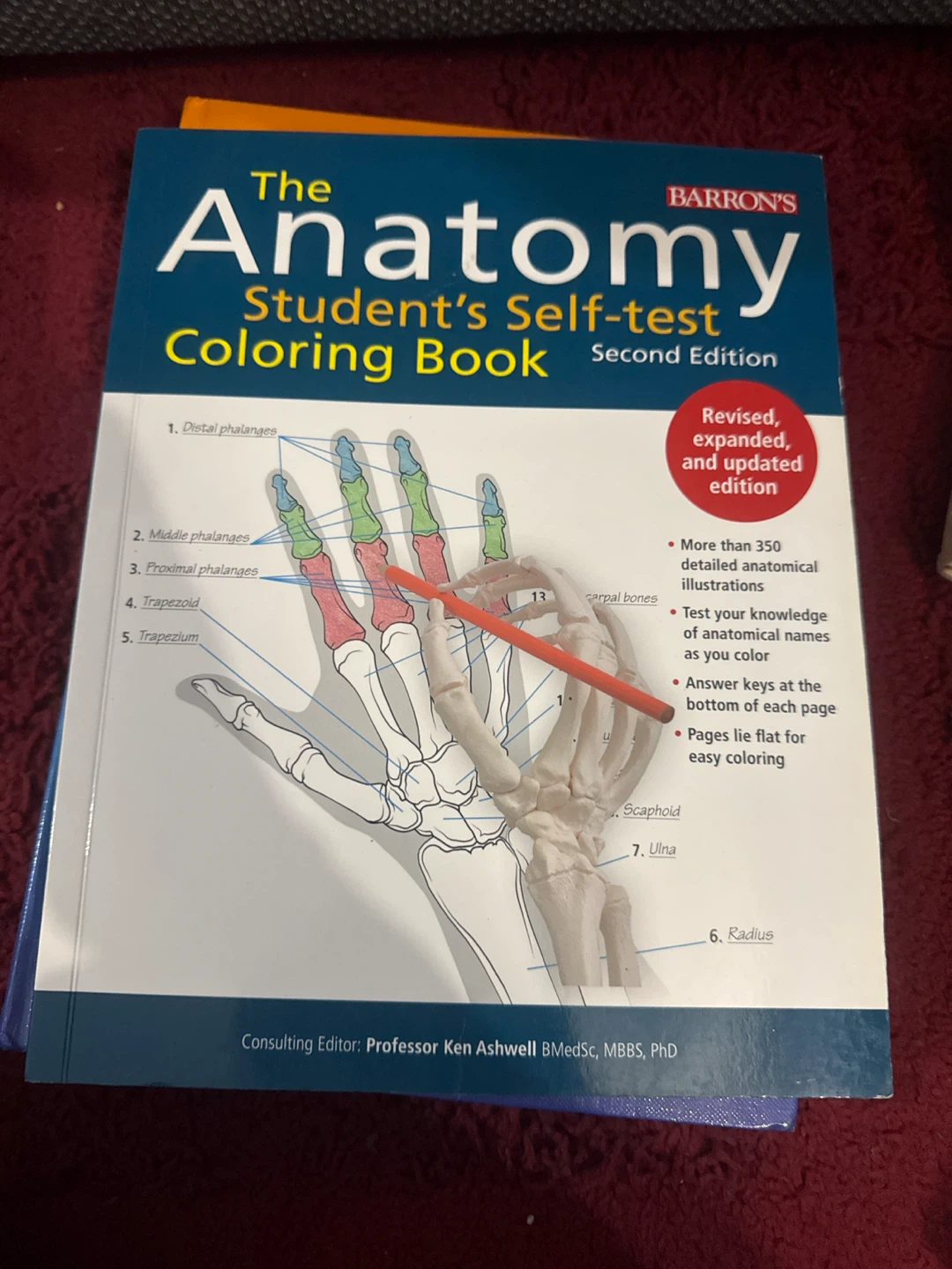The Anatomy Student's Self-test Coloring Book