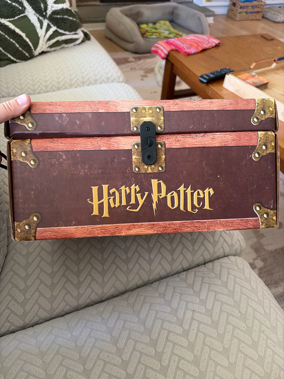 Harry Potter Chest - photo 4