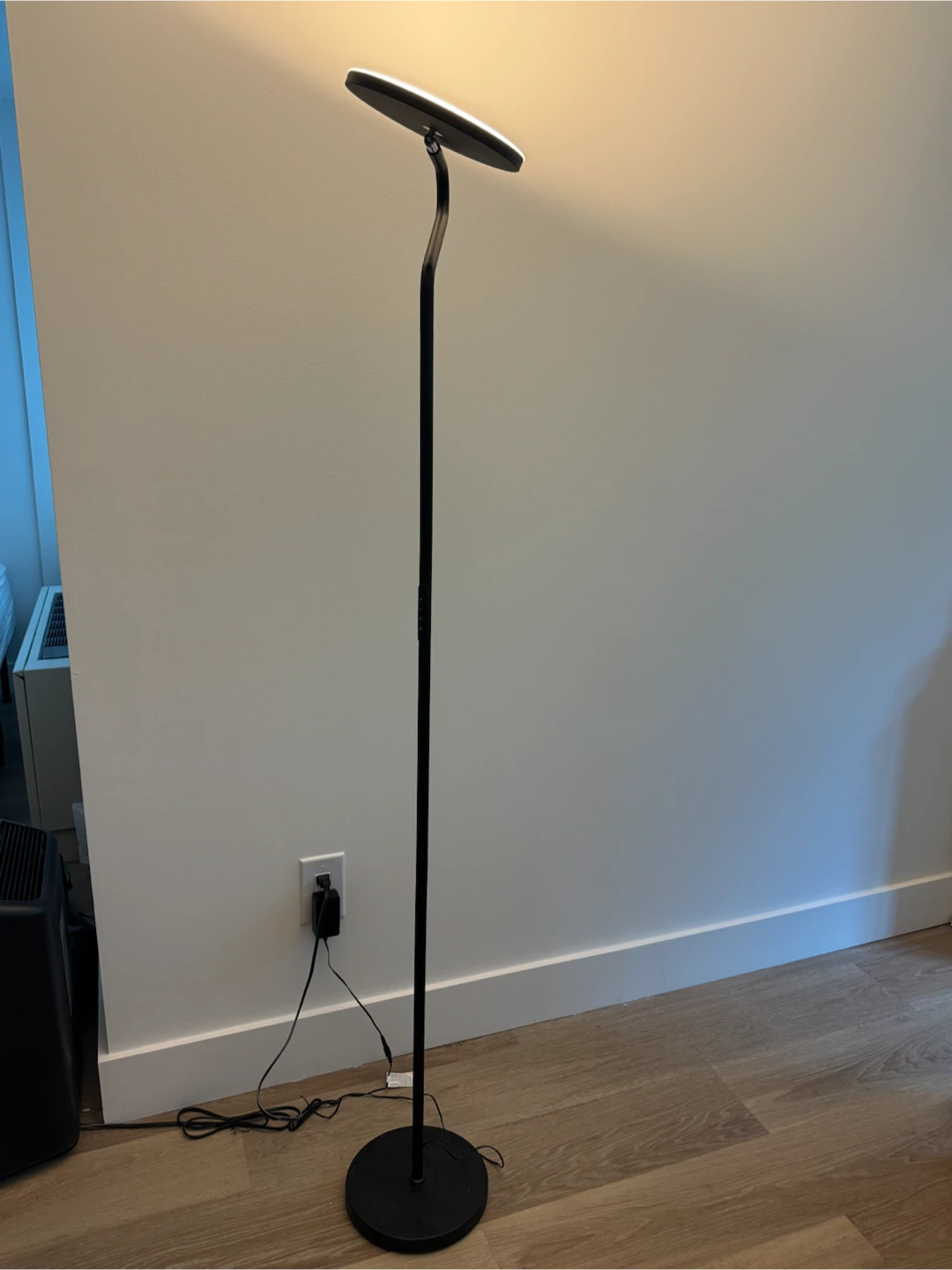 Adjustable colors & brightness Floor Lamp with remote control