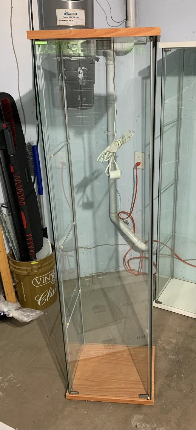 Glass Display Cabinet with Wood Accents