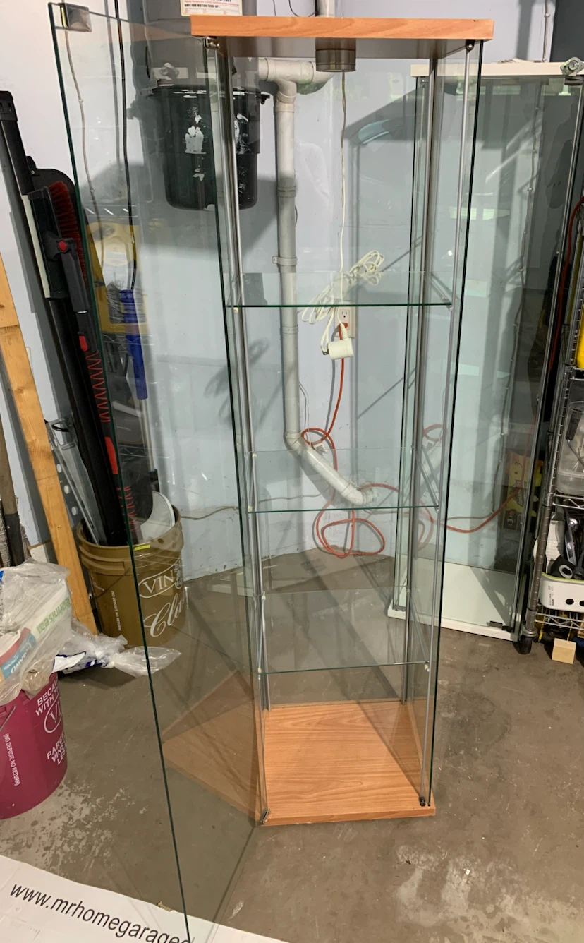 Glass Display Cabinet with Wood Accents - photo 2