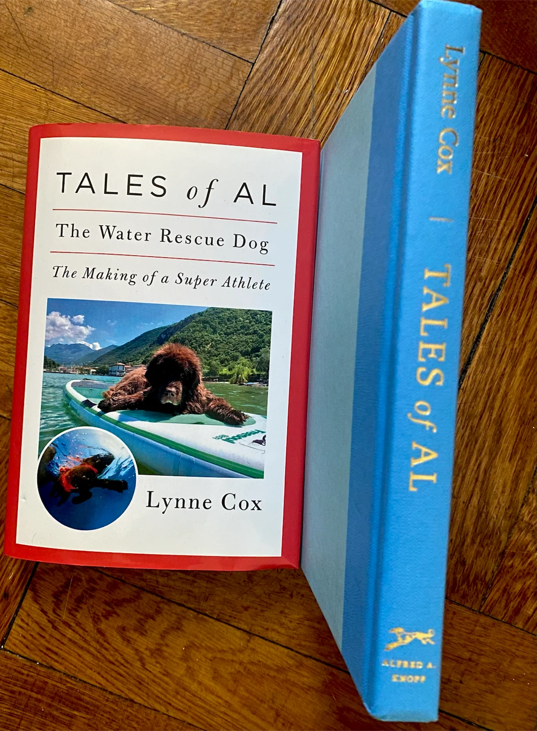 Tales of Al: The Water Rescue Dog by Lynne Cox - photo 2