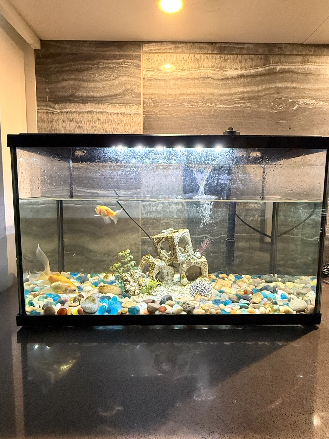 20 Gallon Fish Aquarium Complete Set - photo 3