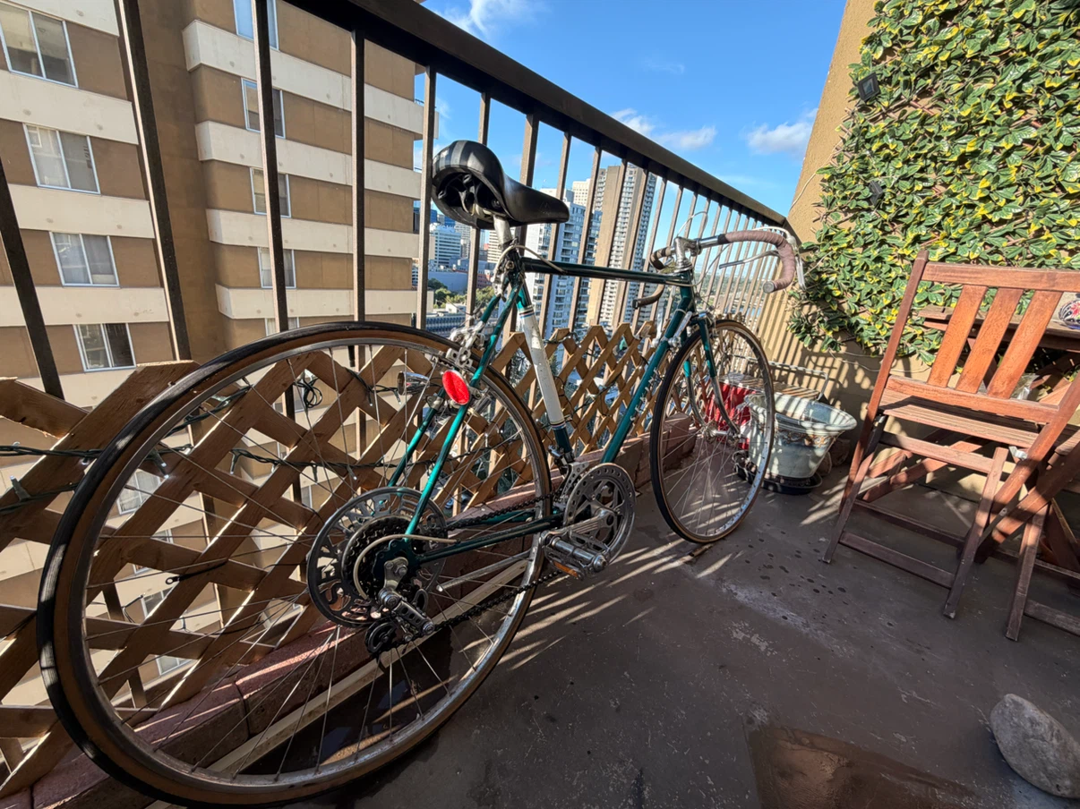 Vintage Sekine Road Bike - photo 5
