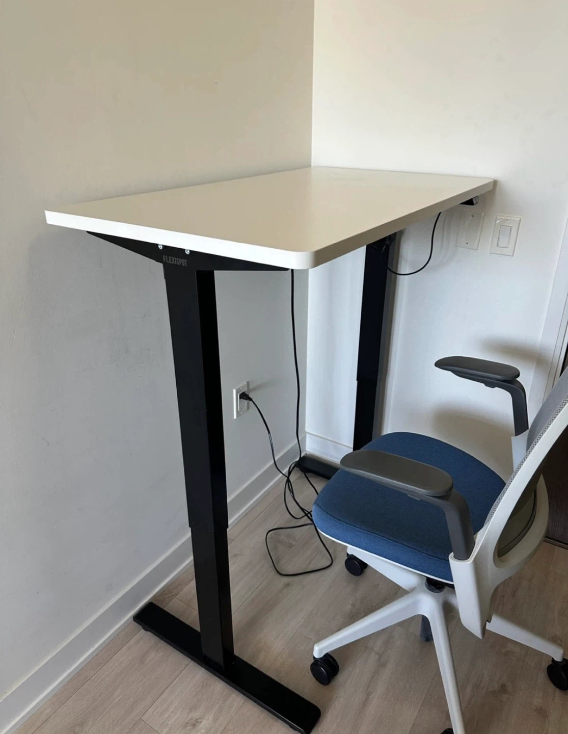 Flexispot Standing Desk - photo 2