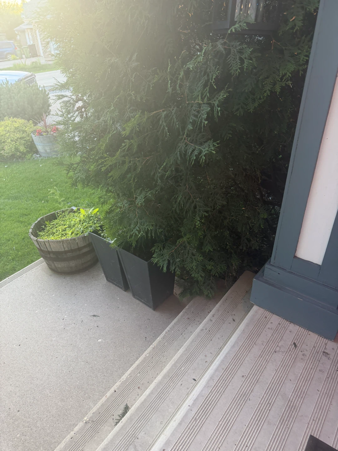 Black Square Planter 4 ea - photo 2