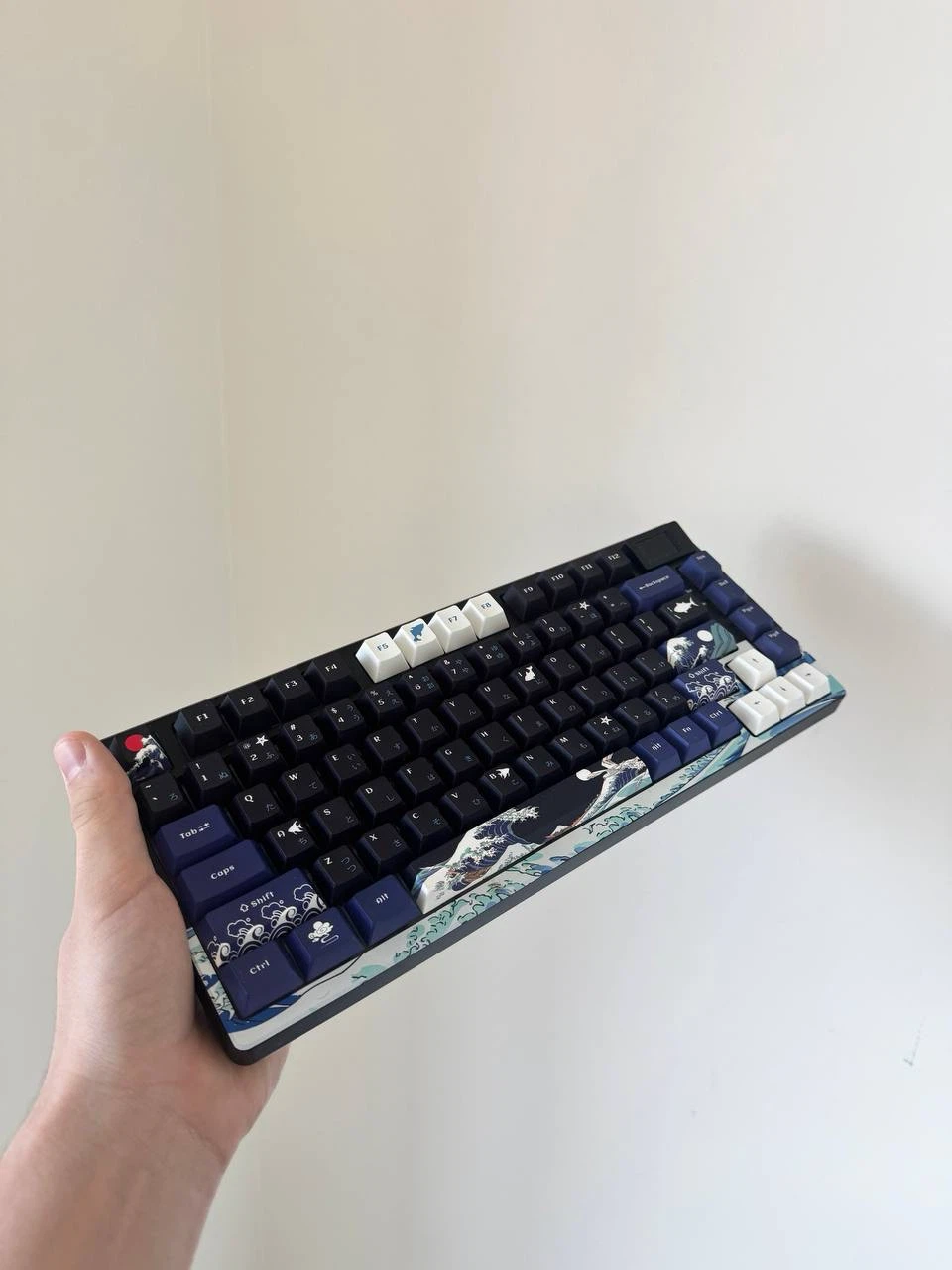 Womier SK80 75% Keyboard with Color Multimedia Display