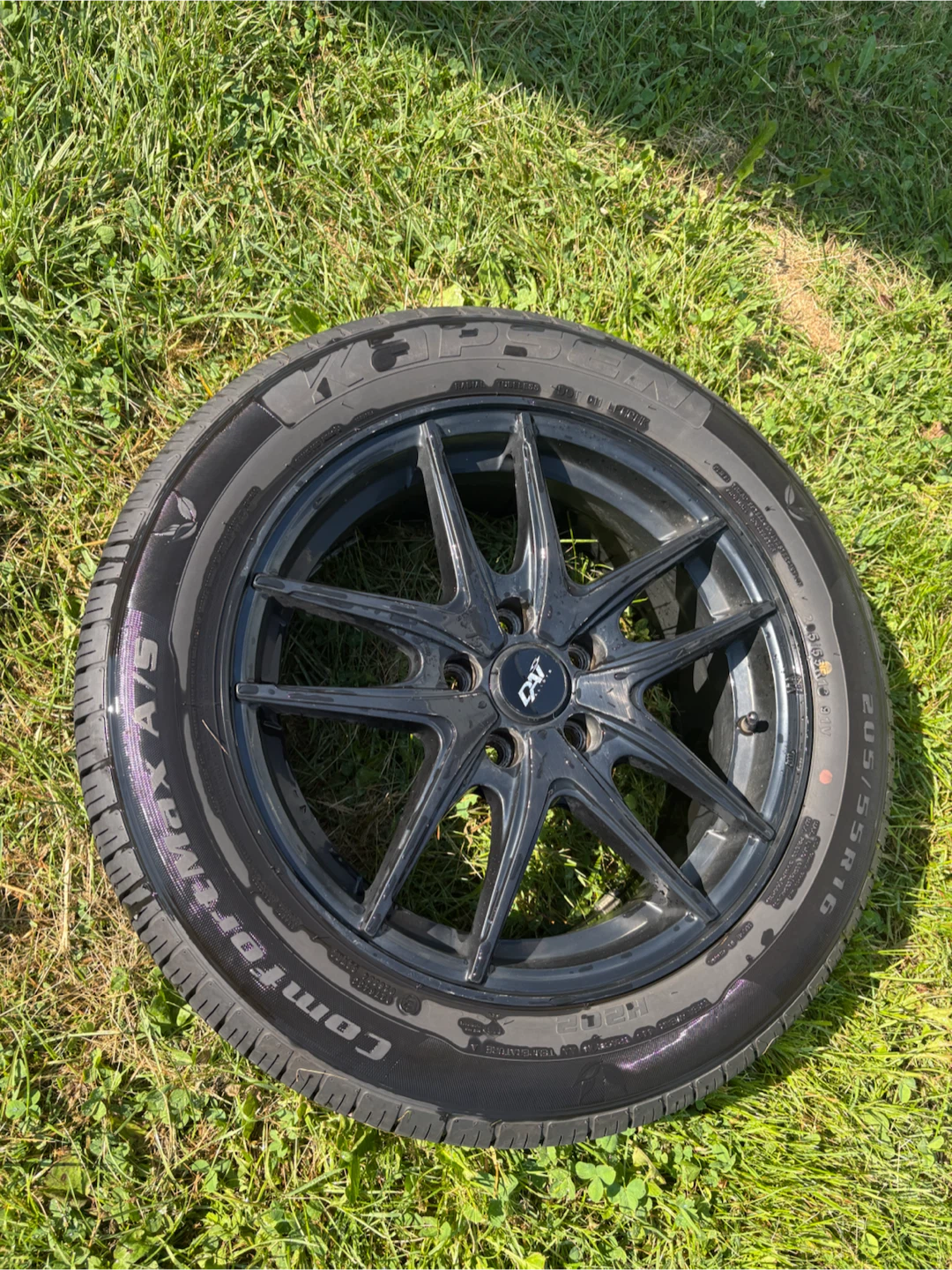 Black Rims with tires 205/55/16