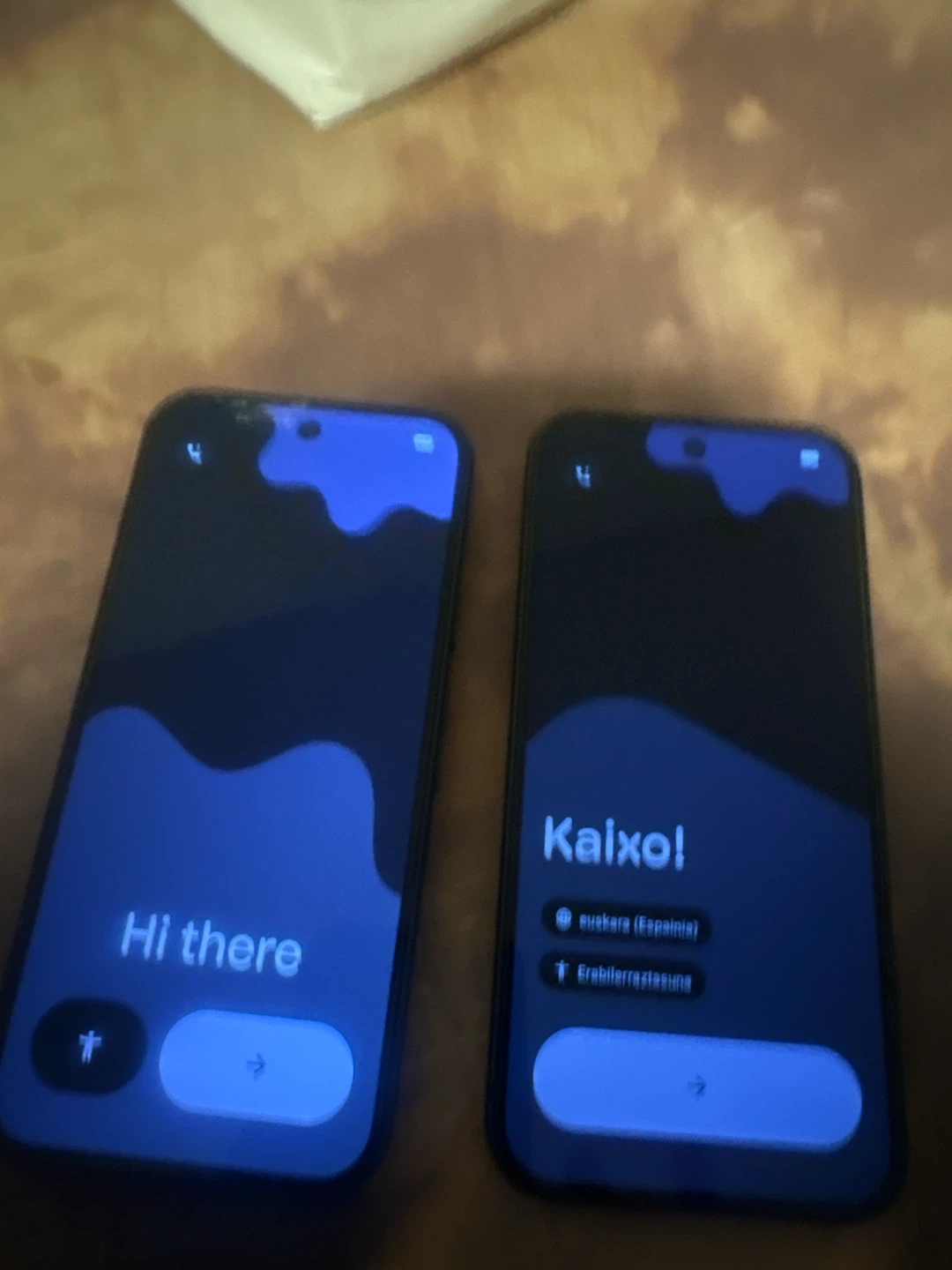 2 Google Pixel 9 Phones