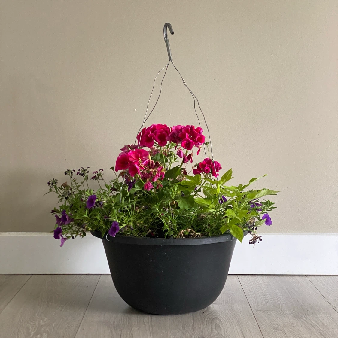 Hanging Basket with Flowers