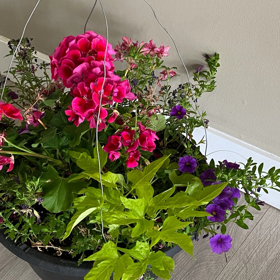Hanging Basket with Flowers - photo 2
